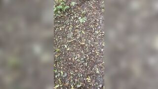 Public Titty Drop :)