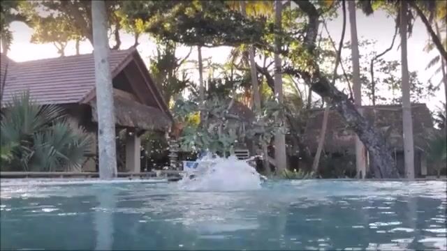 Pool reveal