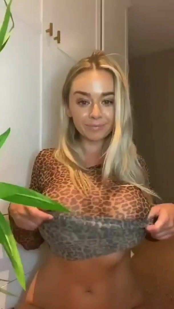 (Reveal) blondie